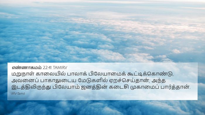 எண்ணாகமம் 22:41 TAMIRV Bible Verse Image