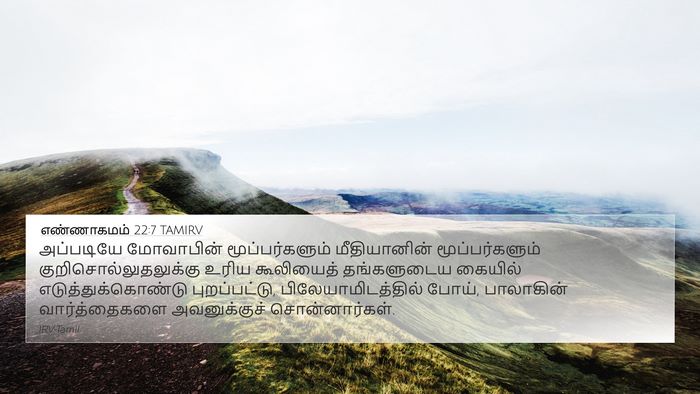 எண்ணாகமம் 22:7 TAMIRV Bible Verse Image