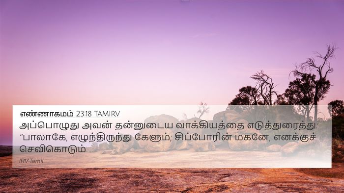 எண்ணாகமம் 23:18 TAMIRV Bible Verse Image
