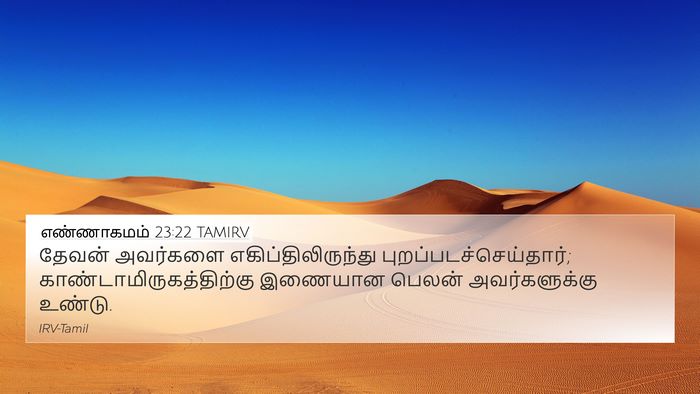 எண்ணாகமம் 23:22 TAMIRV Bible Verse Image