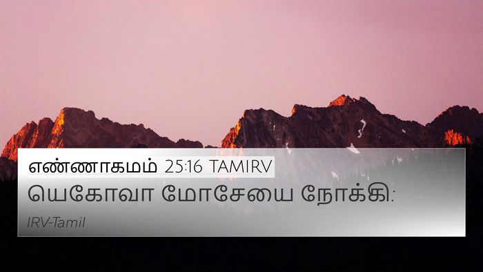 எண்ணாகமம் 25:16 TAMIRV 4K Wallpaper - யெகோவா மோசேயை - 4K Wallpaper Bible Verse