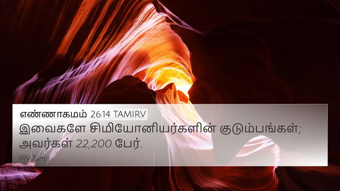 எண்ணாகமம் 26:14 TAMIRV Bible Verse Image