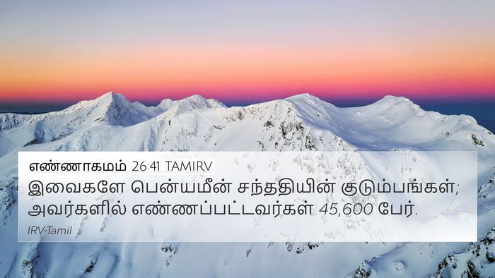 எண்ணாகமம் 26:41 TAMIRV Bible Verse Image