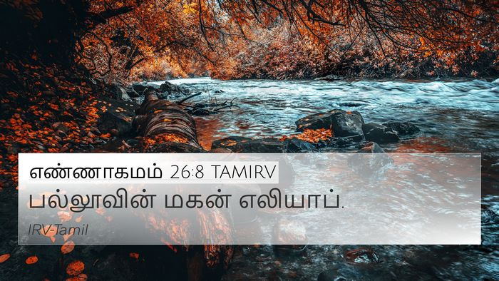 எண்ணாகமம் 26:8 TAMIRV 4K Wallpaper - பல்லூவின் மகன் - 4K Wallpaper Bible Verse
