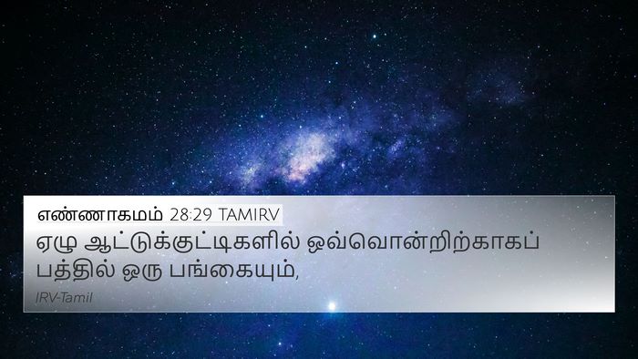 எண்ணாகமம் 28:29 TAMIRV 4K Wallpaper - ஏழு - 4K Wallpaper Bible Verse