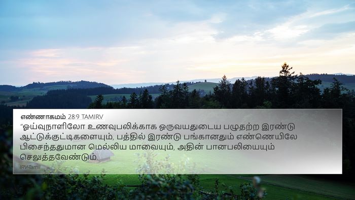 எண்ணாகமம் 28:9 TAMIRV Bible Verse Image