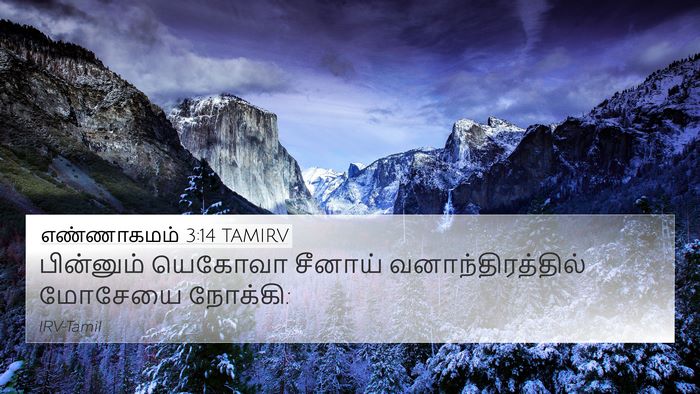 எண்ணாகமம் 3:14 TAMIRV 4K Wallpaper - பின்னும் யெகோவா - 4K Wallpaper Bible Verse