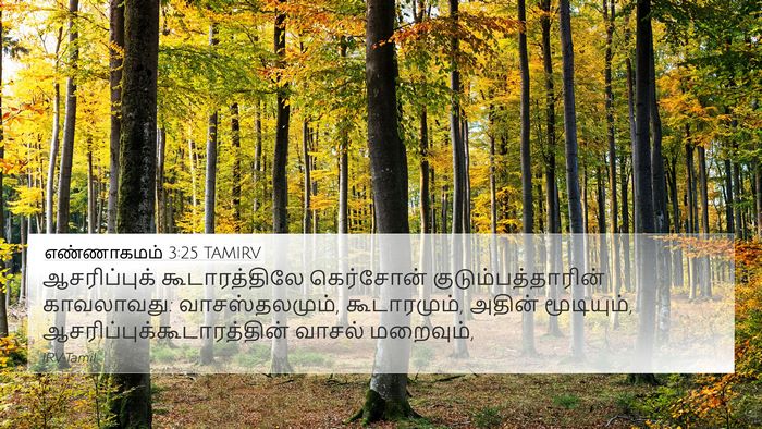 எண்ணாகமம் 3:25 TAMIRV 4K Wallpaper - ஆசரிப்புக் - 4K Wallpaper Bible Verse