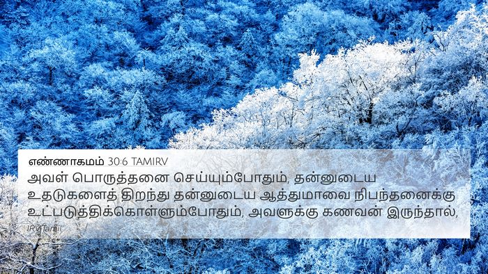 எண்ணாகமம் 30:6 TAMIRV Bible Verse Image