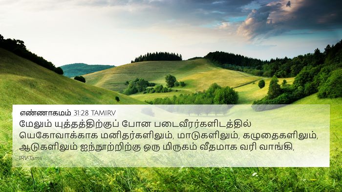 எண்ணாகமம் 31:28 TAMIRV 4K Wallpaper - மேலும் - 4K Wallpaper Bible Verse