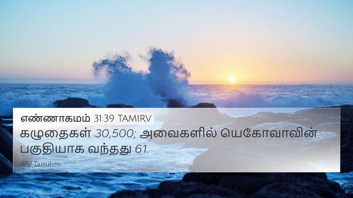 எண்ணாகமம் 31:39 TAMIRV 4K Wallpaper - கழுதைகள் 30,500; - 4K Wallpaper Bible Verse