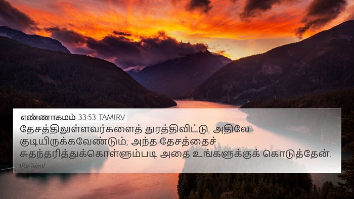 எண்ணாகமம் 33:53 TAMIRV 4K Wallpaper -  - 4K Wallpaper Bible Verse