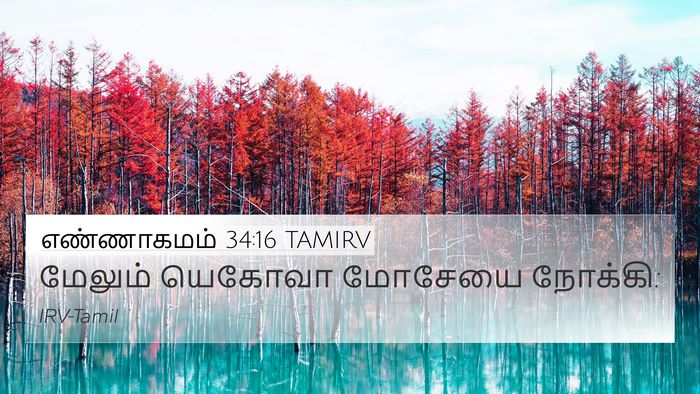 எண்ணாகமம் 34:16 TAMIRV 4K Wallpaper - மேலும் யெகோவா - 4K Wallpaper Bible Verse