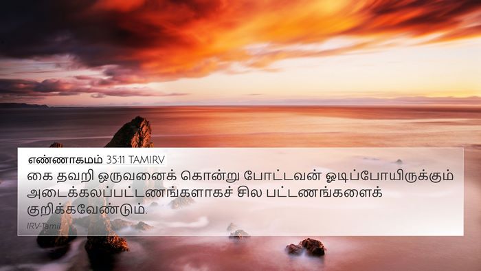 எண்ணாகமம் 35:11 TAMIRV Bible Verse Image