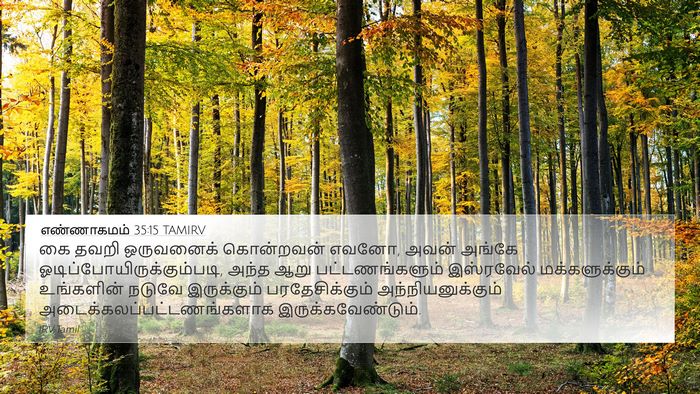 எண்ணாகமம் 35:15 TAMIRV 4K Wallpaper - கை தவறி ஒருவனைக் - 4K Wallpaper Bible Verse