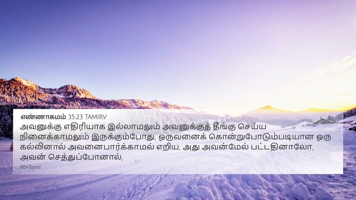 எண்ணாகமம் 35:23 TAMIRV 4K Wallpaper - அவனுக்கு எதிரியாக - 4K Wallpaper Bible Verse