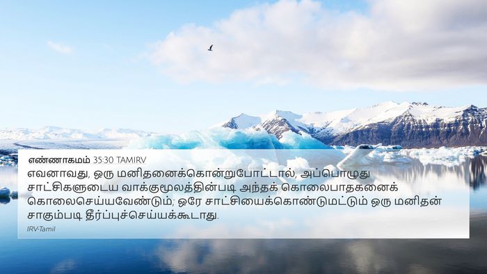 எண்ணாகமம் 35:30 TAMIRV Bible Verse Image