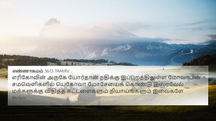 எண்ணாகமம் 36:13 TAMIRV Bible Verse Image