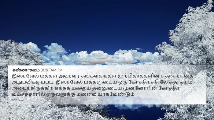 எண்ணாகமம் 36:8 TAMIRV Bible Verse Image