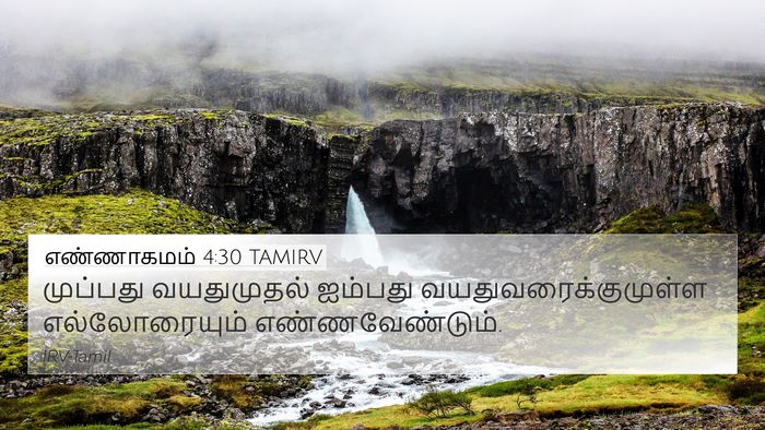 எண்ணாகமம் 4:30 TAMIRV Bible Verse Image