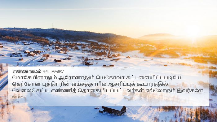 எண்ணாகமம் 4:41 TAMIRV Bible Verse Image
