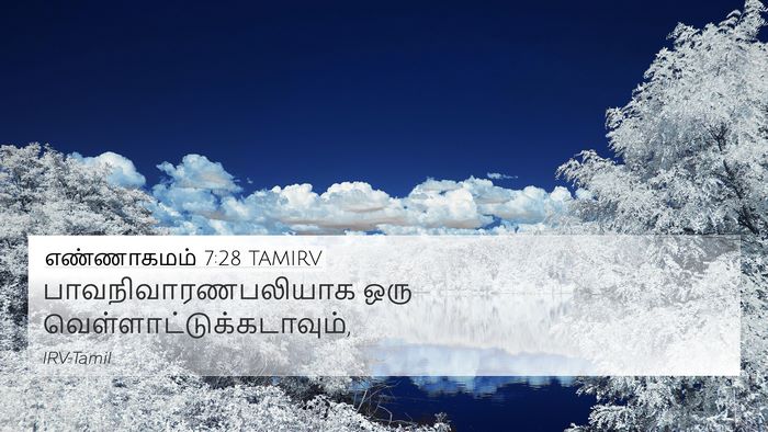எண்ணாகமம் 7:28 TAMIRV 4K Wallpaper - பாவநிவாரணபலியாக - 4K Wallpaper Bible Verse