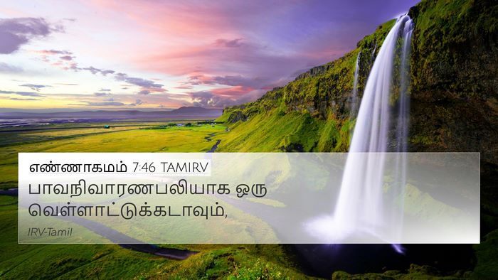 எண்ணாகமம் 7:46 TAMIRV 4K Wallpaper - பாவநிவாரணபலியாக - 4K Wallpaper Bible Verse