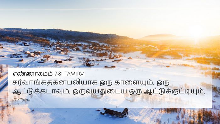 எண்ணாகமம் 7:81 TAMIRV 4K Wallpaper -  - 4K Wallpaper Bible Verse