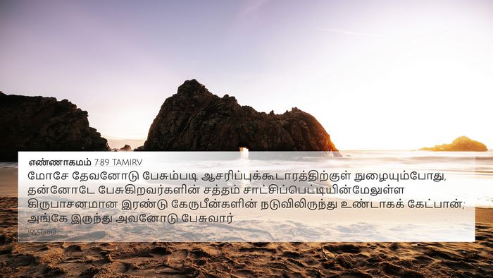 எண்ணாகமம் 7:89 TAMIRV Bible Verse Image