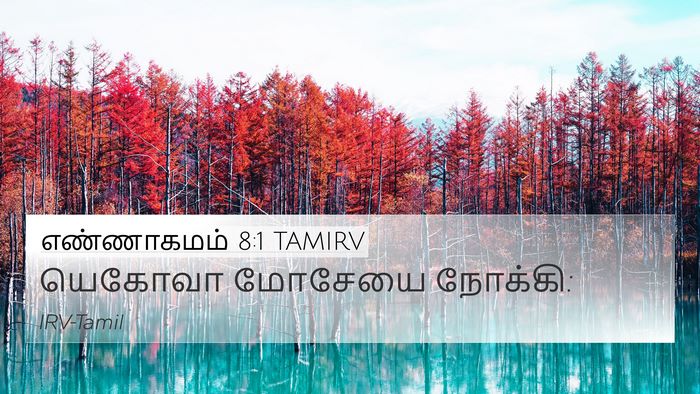 எண்ணாகமம் 8:1 TAMIRV 4K Wallpaper - யெகோவா மோசேயை - 4K Wallpaper Bible Verse