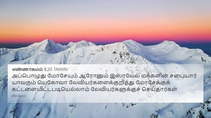 எண்ணாகமம் 8:20 TAMIRV Bible Verse Image