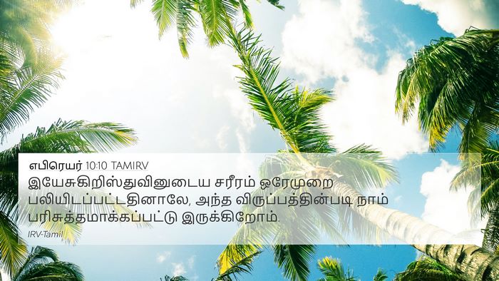 எபிரெயர் 10:10 TAMIRV Bible Verse Image