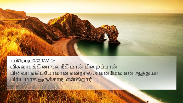 எபிரெயர் 10:38 TAMIRV Bible Verse Image