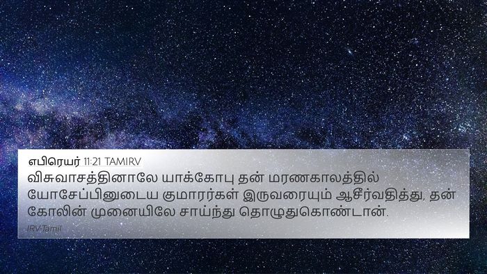 எபிரெயர் 11:21 TAMIRV 4K Wallpaper - விசுவாசத்தினாலே - 4K Wallpaper Bible Verse