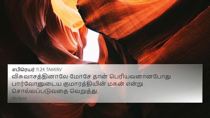 எபிரெயர் 11:24 TAMIRV Bible Verse Image