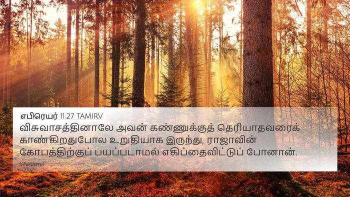 எபிரெயர் 11:27 TAMIRV Bible Verse Image