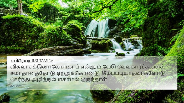 எபிரெயர் 11:31 TAMIRV Bible Verse Image
