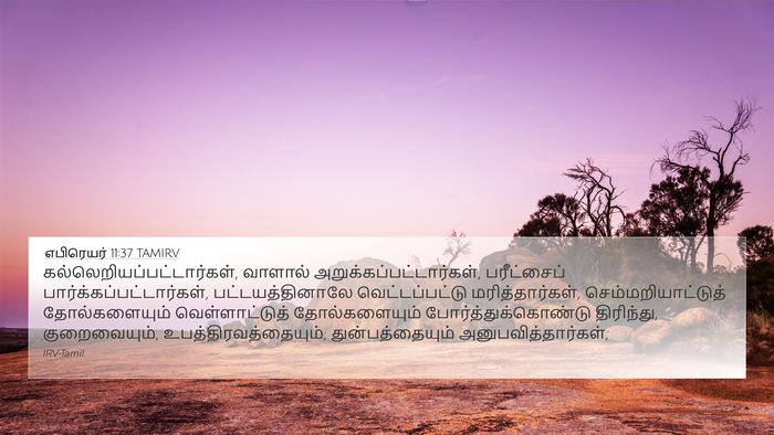 எபிரெயர் 11:37 TAMIRV Bible Verse Image