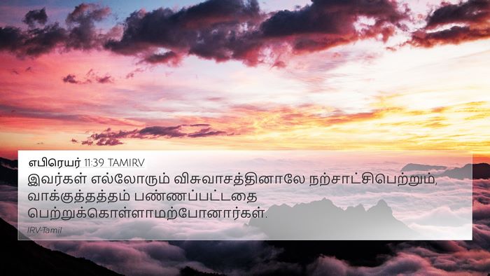 எபிரெயர் 11:39 TAMIRV Bible Verse Image