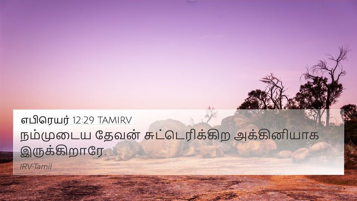 எபிரெயர் 12:29 TAMIRV Bible Verse Image
