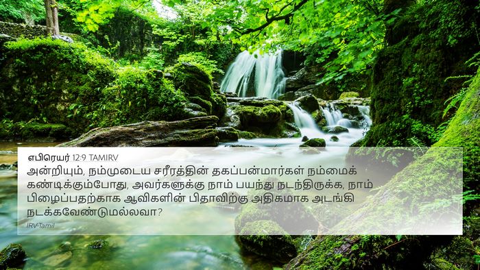 எபிரெயர் 12:9 TAMIRV Bible Verse Image