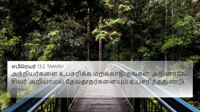 எபிரெயர் 13:2 TAMIRV Bible Verse Image