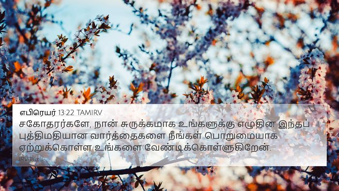 எபிரெயர் 13:22 TAMIRV Bible Verse Image