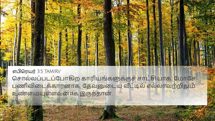 எபிரெயர் 3:5 TAMIRV Bible Verse Image