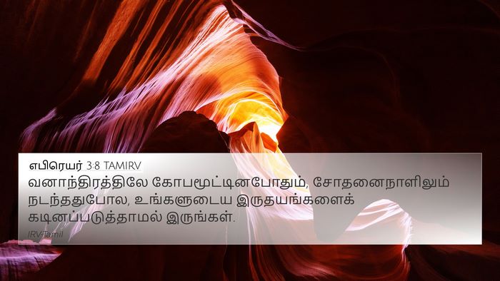 எபிரெயர் 3:8 TAMIRV Bible Verse Image