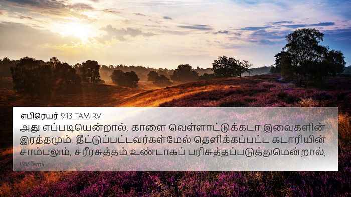 எபிரெயர் 9:13 TAMIRV Bible Verse Image