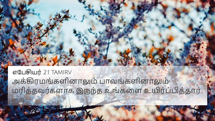 எபேசியர் 2:1 TAMIRV Bible Verse Image