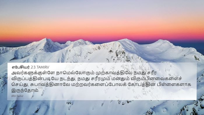 எபேசியர் 2:3 TAMIRV Bible Verse Image