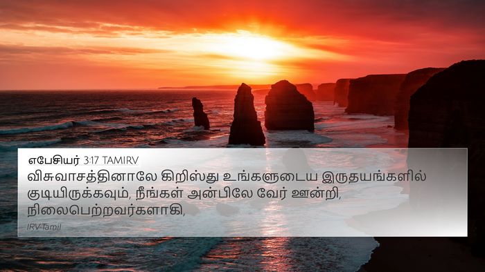 எபேசியர் 3:17 TAMIRV Bible Verse Image