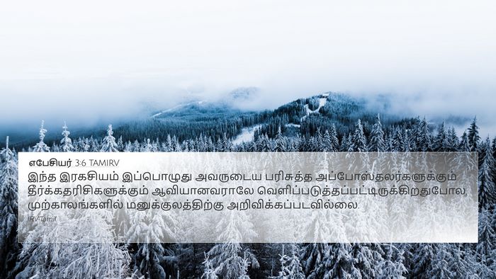 எபேசியர் 3:6 TAMIRV Bible Verse Image